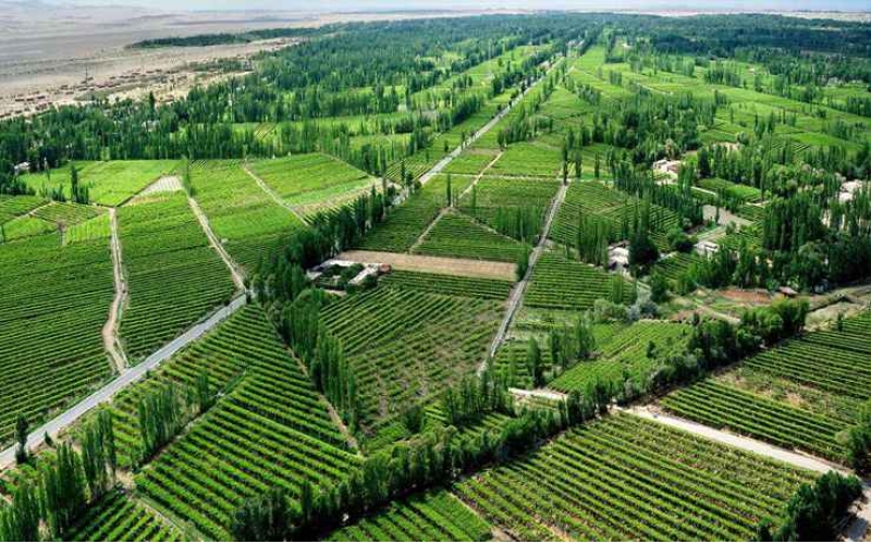 民盟酒泉市委員會調(diào)研組在我市調(diào)研